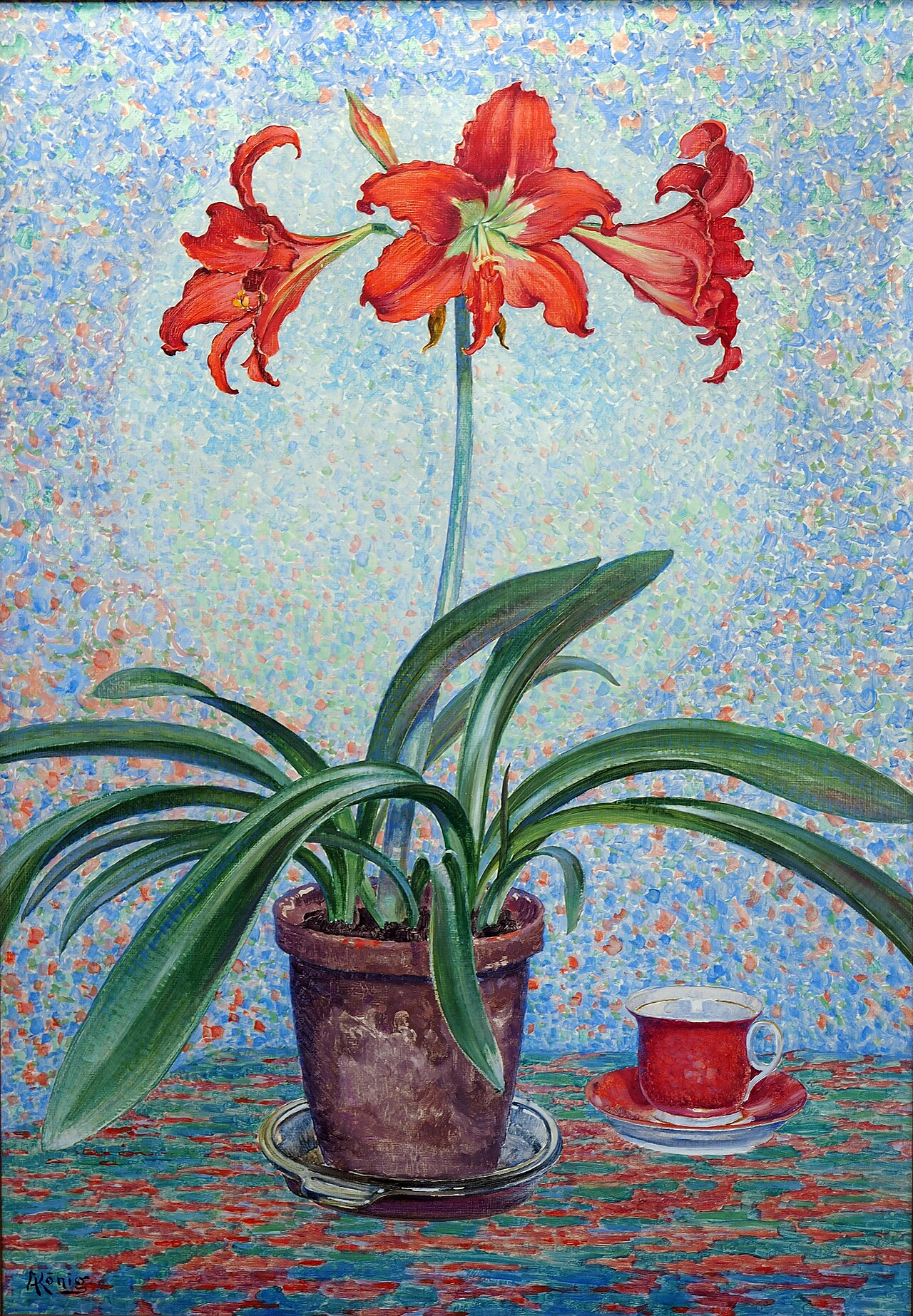 Amaryllis