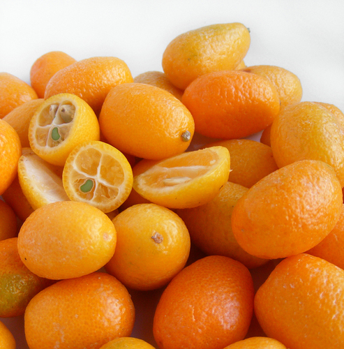 Calamondin Orange